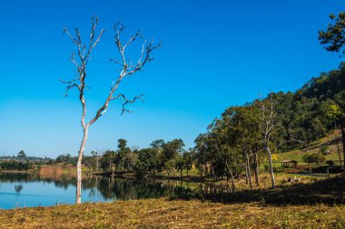 Tayland 'ın Chiangmai eyaletinde göl manzarası.