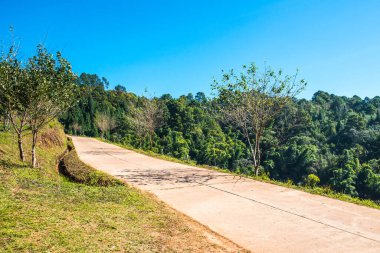Manzara Görünümü Çay Çiftliği 2000, Tayland.
