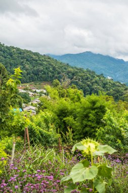 Mon Jam 'in Tayland' daki dağ manzarası.