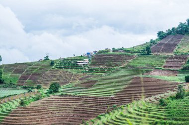 Mon Jam 'in Tayland' daki dağ manzarası.