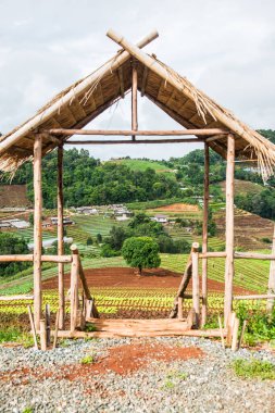 Mon Jam 'in Tayland' daki dağ manzarası.