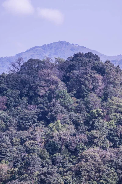 Tayland 'ın Chiangrai eyaletindeki Phu Chi Fa Manzarası' nda Dağ Manzarası.