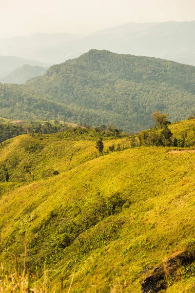 Tayland 'ın Chiangrai eyaletindeki Phu Chi Fa Manzarası' nda Dağ Manzarası.