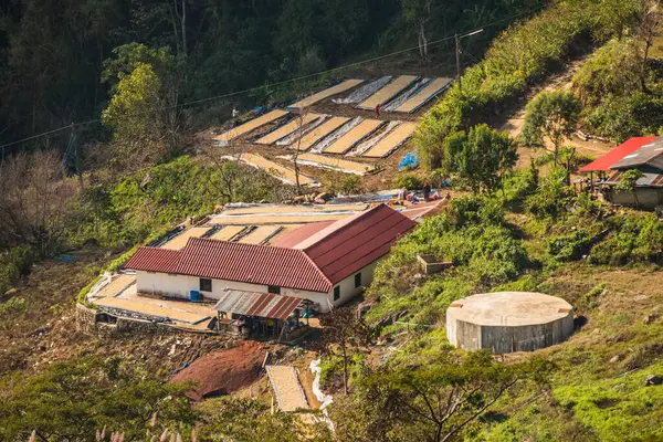 Doi Pha Tang, Tayland 'daki köy manzarası.