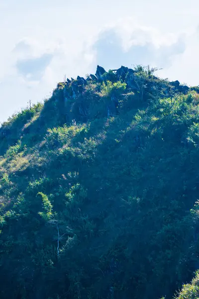 Tayland 'ın Chiangrai eyaletindeki Doi Pha Tang' da Dağ Manzarası.