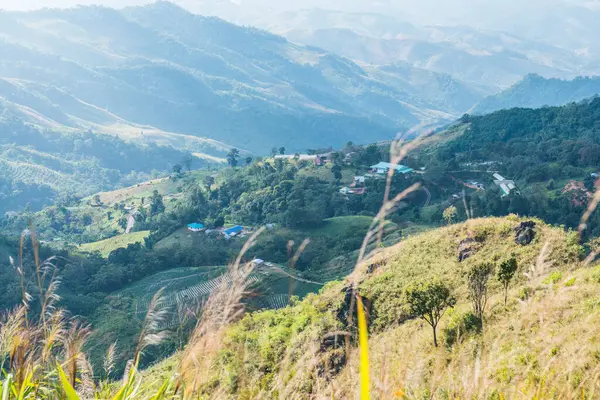 Tayland 'ın Chiangrai eyaletindeki Doi Pha Tang' da Dağ Manzarası.
