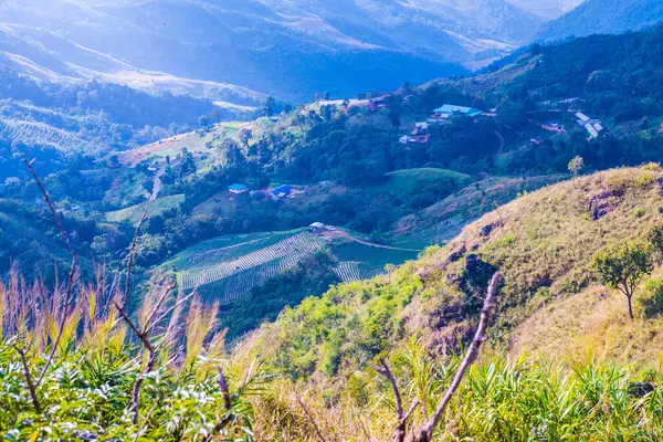Tayland 'ın Chiangrai eyaletindeki Doi Pha Tang' da Dağ Manzarası.