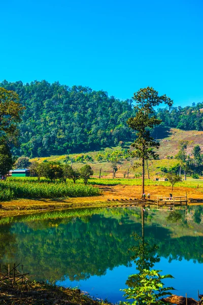 Tayland 'ın Chiangmai eyaletinde göl manzarası.