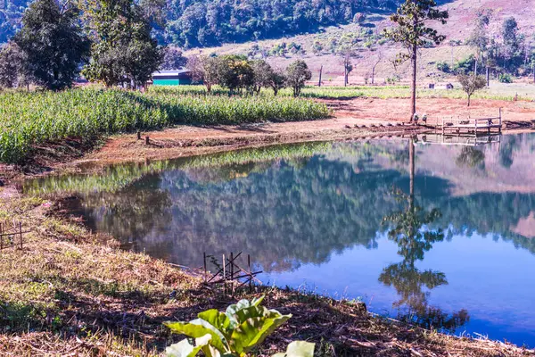 Tayland 'ın Chiangmai eyaletinde göl manzarası.