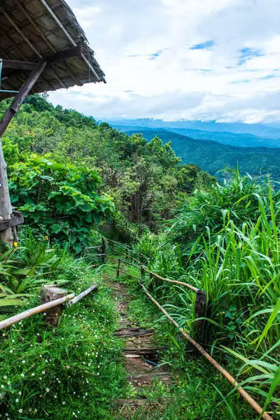 Mon Jam 'in Tayland' daki dağ manzarası.