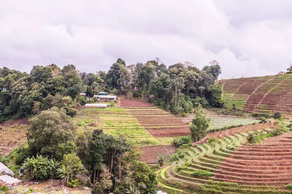 Mon Jam 'in Tayland' daki dağ manzarası.