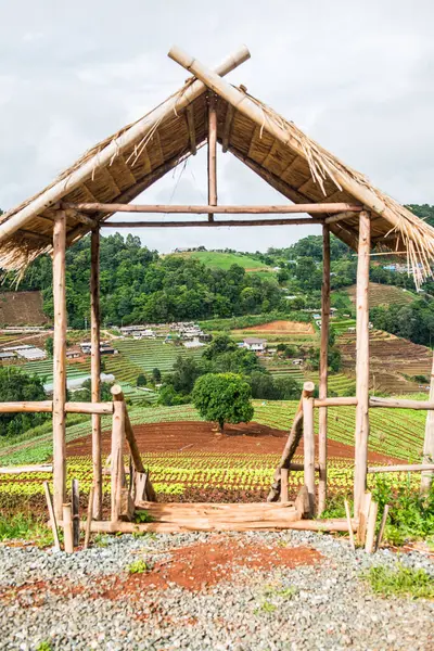 Mon Jam 'in Tayland' daki dağ manzarası.