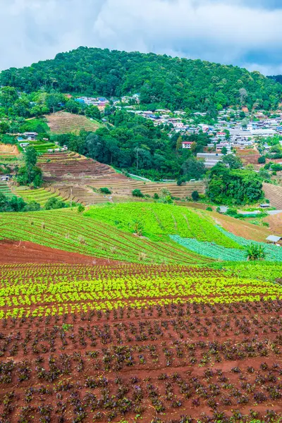 Mon Cham, Tayland 'daki dağdaki köy..