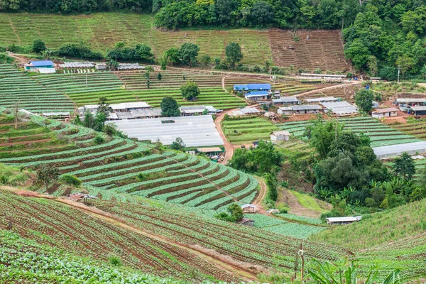 Mon Cham, Tayland 'daki dağdaki köy..