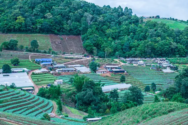 Mon Cham, Tayland 'daki dağdaki köy..