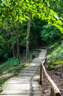 Jedsee Çeşme Parkı 'nda yürü, Tayland.
