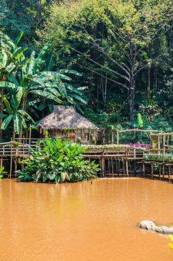 Mae Fah Luang Garden Peyzajı, Tayland.