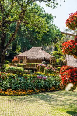 Mae Fah Luang Garden Peyzajı, Tayland.