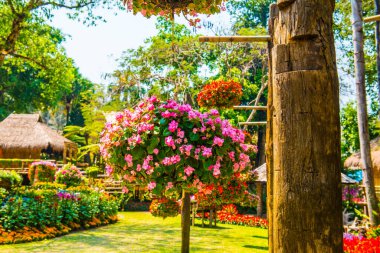 Mae Fah Luang Garden Peyzajı, Tayland.
