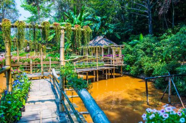 Mae Fah Luang Garden Peyzajı, Tayland.