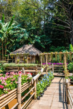 Mae Fah Luang Garden Peyzajı, Tayland.
