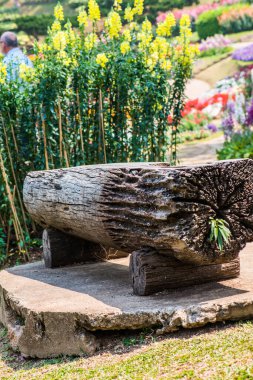Park, Tayland 'da kütük tezgahı.