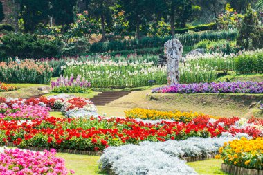 Tayland 'da güzel bir park..