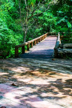 Phu Sang Ulusal Parkı, Tayland 'da küçük bir köprü..