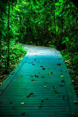Phu Sang, Tayland 'da doğa yolu..