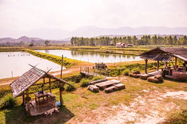 Tayland 'da küçük kulübeleri olan balık havuzu..