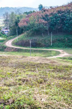 Tayland kırsallı Laterite Yolu, Tayland.