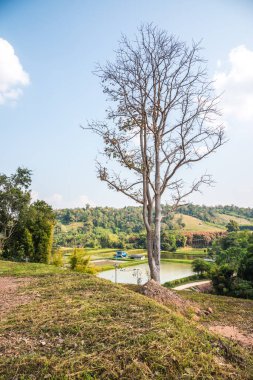 Tayland, Tayland kırsal manzarası.