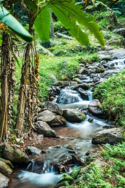 Champa Tanga Şelalesi 'nde küçük bir dere, Tayland.