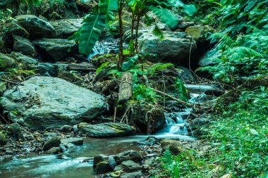 Champa Tanga Şelalesi 'nde küçük bir dere, Tayland.