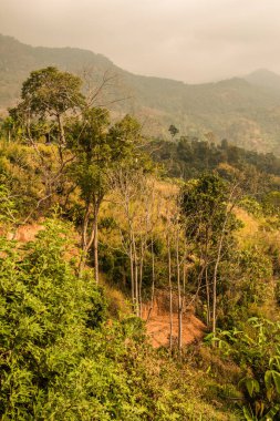 Phu Langka Ulusal Parkı, Tayland Güzel Manzarası.