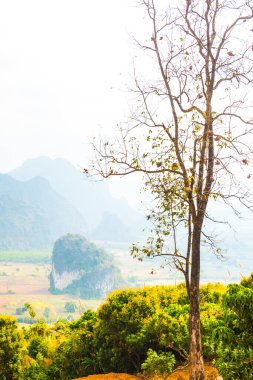 Phu Langka Ulusal Parkı, Tayland Güzel Manzarası.