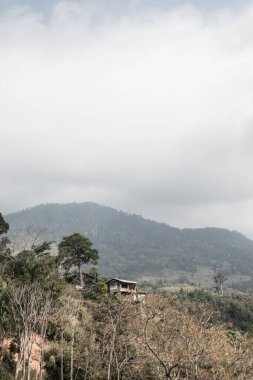 Tayland Phulangka Ulusal Parkı 'nda Dağ Manzaralı Küçük Ev.