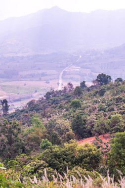 Phu Langka Ulusal Parkı, Tayland Güzel Manzarası.