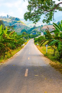 Tayland 'ın Phayao eyaletinde dağdaki yol.