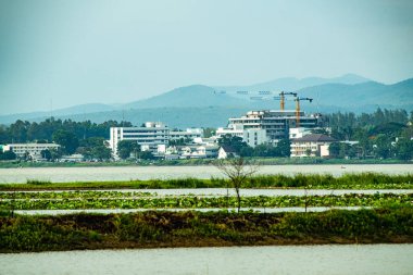 Phayao city beside Kwan Phayao lake, Thailand.