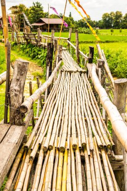 Tayland 'da pirinç tarlası olan küçük bir köprü..