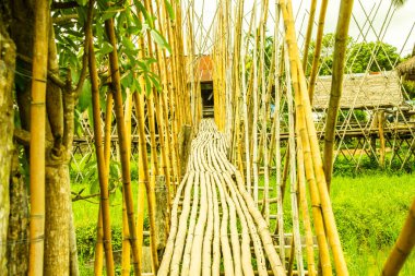 Tayland 'da pirinç tarlası olan küçük bir köprü..