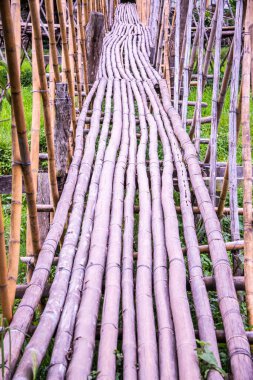 Tayland 'da pirinç tarlası olan küçük bir köprü..