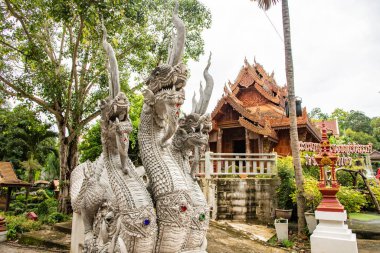 Pha Ngao Tapınağı, Tayland 'daki kilisenin önündeki Naga heykeli..