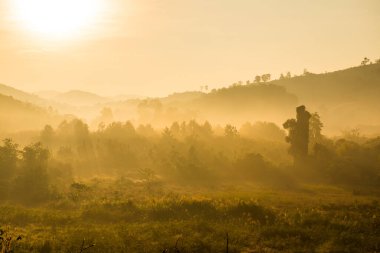 Phu Langka Ulusal Parkı, Tayland Güzel Dağ Manzarası.