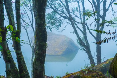 Tayland 'da sisli göl manzarası.