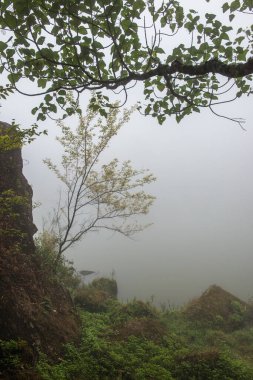 Tayland 'da sisli göl manzarası.