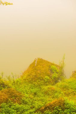 Tayland 'da sisli göl manzarası.