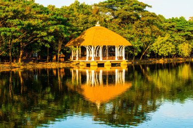 Chiang Mai 'deki Güzel Bina Gece Safarisi, Tayland.