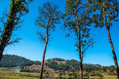 Tayland 'ın Chiangmai eyaletinde Moiuntain manzarası.
